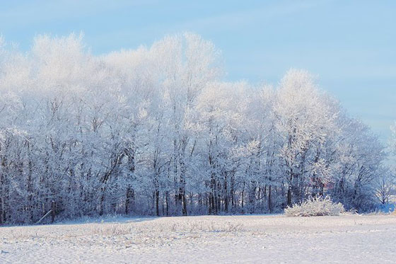 عکس طبیعت رویایی فصل زمستان